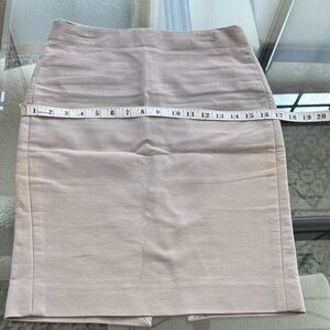 JCrew Women’s Pencil Skirt in Light Gray